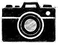 yvieye & bear | photo & video